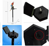 Solar Parrot Garden Lights, Outdoor Decor Figurine Stakes for Patio Waterproof Garden Light Decoration for Walkway | Lumora