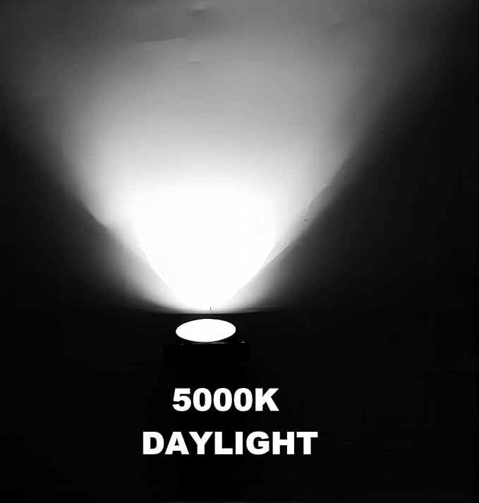 EAGLOD 5W Spot Lights Outdoor 5000K Daylight White Flag Pole Light 12V~24V AC/DC LED Landscape Spotlights | Lumora