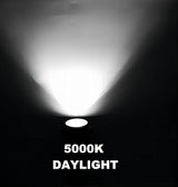 EAGLOD 5W Spot Lights Outdoor 5000K Daylight White Flag Pole Light 12V~24V AC/DC LED Landscape Spotlights | Lumora