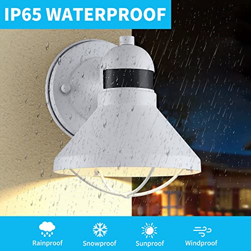 LONEDRUID 2 Pack Dusk Dawn Motion Sensor Outdoor LED Porch Light Fixtures