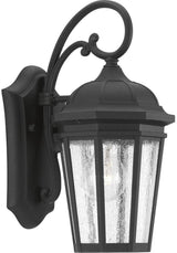 Progress Lighting Verdae Collection 1-Light Clear Seeded Glass New Traditional Outdoor Small Wall Lantern Light | Lumora