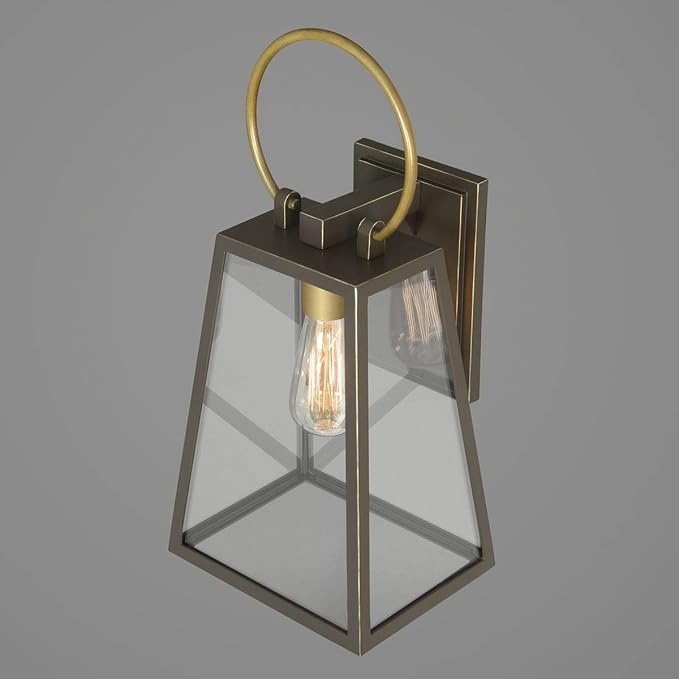 Progress Lighting Barnett Collection 1-Light Clear Glass Farmhouse Outdoor Medium Wall Lantern Light Antique Bronze