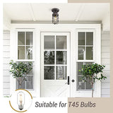 Emliviar 2 Pack Farmhouse Semi Flush Mount Ceiling Lights, Small Ceiling Lights for Porch, Clear Tempered Glass in Oil Rubbed Bronze Finish, GE255F-2PK ORB