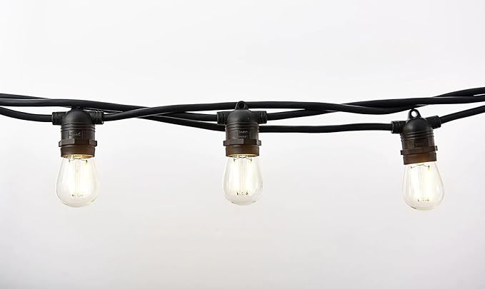 Hi-Line Gift Ltd. Edison Bulb Light Set - Clear - 21' Black Wire - 12ct