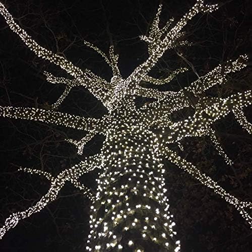 Novelty Lights 25ft 50 LED Pure White Christmas Lights Outdoor/Indoor, 6" Spacing, Green Wire String Lights for | Lumora