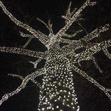 Novelty Lights 25ft 50 LED Pure White Christmas Lights Outdoor/Indoor, 6" Spacing, Green Wire String Lights for | Lumora
