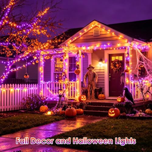 Smart Color Changing Halloween Christmas Lights 165 FT 500 LED App Remote