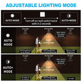 LONEDRUID 2 Pack Dusk to Dawn Motion Sensor Outdoor LED Wall Light Fixtures