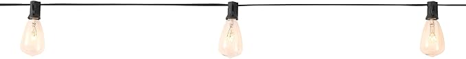 Ashland 30ct Clear Edison String Lights - 30 ft. Total Length Light Bulbs, 120V 60Hz AC, UL Certified, Indoor and Outdoor Use - 1 Pack