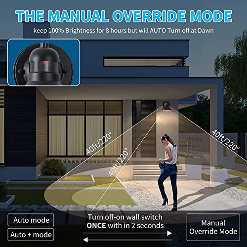 LONEDRUID 2 Pack Dusk to Dawn Motion Sensor Outdoor LED Wall Light Fixture