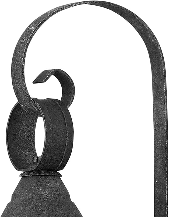 Hinkley Cape Cod 2206DZ Medium Outdoor Wall Mount Onion Lantern - Clear Seedy Glass, Wet Rated - Aged Zinc