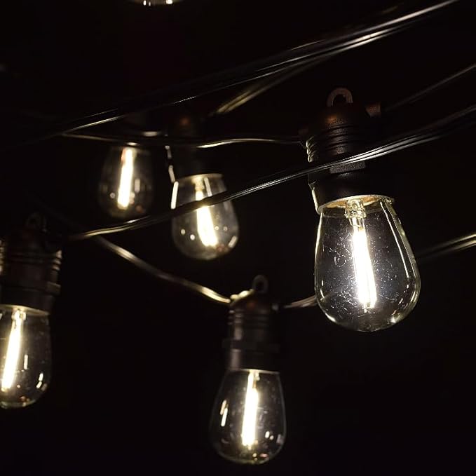 Hometown Evolution, Inc. 100' E26 Commercial LED Outdoor String Lights (100 Foot 50 Socket, S14 LED Filament 1 Watt | Lumora