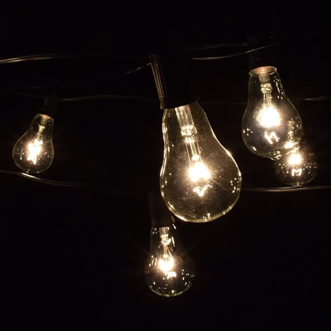 Hometown Evolution, Inc. Vintage Edison Outdoor String Lights (PS50 Clear - Black Wire, 50 ft)