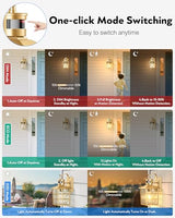 VIANIS Gold Motion Sensor Outdoor Lights for House, Anti-Rust, Waterproof