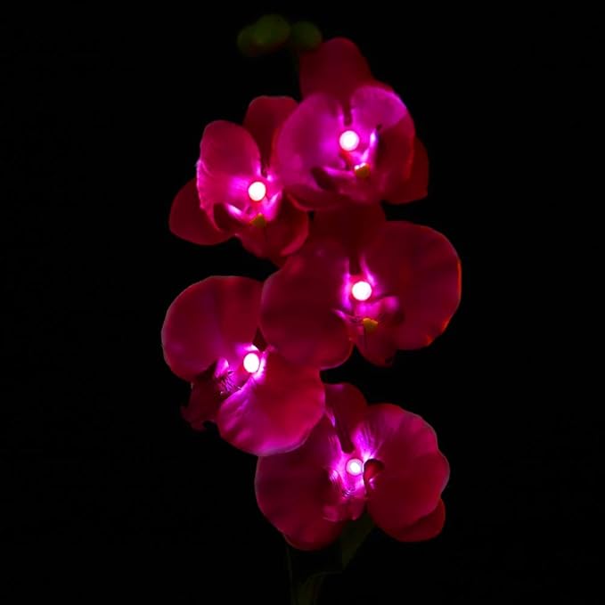 Garden Solar Lights Waterproof Solar Moth Orchid Lights Activated Patio LED Lights Garden Path Lawn Lights Automatic Solar Path Lights