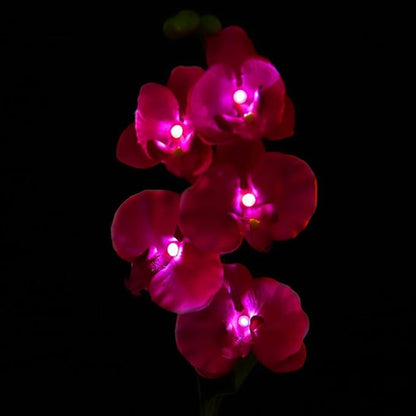 Garden Solar Lights Waterproof Solar Moth Orchid Lights Activated Patio LED Lights Garden Path Lawn Lights Automatic Solar Path Lights