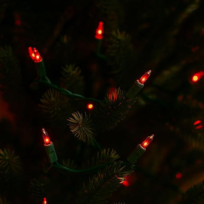 Novelty Lights 50 Feet 100 Bulbs Traditional Incandescent Mini Lights, Red on Green Wire with 6" Spacing, Commercial Grade and UL Listed for Indoor/Outdoor Use, End-to-End Connectable