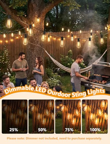 10FT Outdoor String Lights, 10 ST40 Edison LED Patio Lights