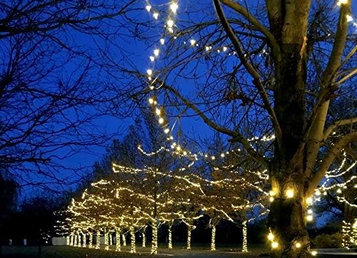 Novelty Lights 24-Pack, 25 Feet 50 Light Brown Wire LED Christmas Lights Outdoor, Commercial Grade, Yellow, 5mm | Lumora