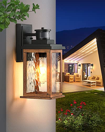VIANIS Dusk to Dawn Outdoor Lighting for House, Outdoor Lights Fixture, E26