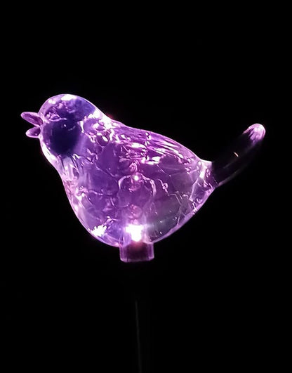 Starry Illuminate 2 PCS Solar Color Changing Style Garden Stake Light Pathway Stake Light (Bird)