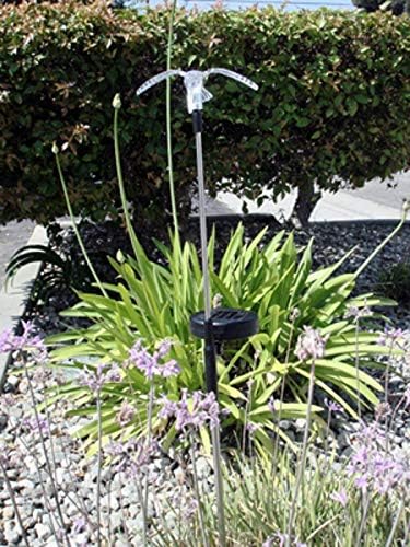 Set of 1 Solar Garden Stake Lights with Color Changing LED or Regular White LED Landscape Path Lights (1 Piece) (Humming (Wing Down))