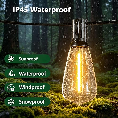 60FT Outdoor String Lights ST38 LED with Remote Waterproof Dimmable