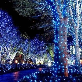 LAMPHOME 200L(100L*2pcs) Mini Lights, Green Wire,Blue