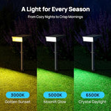 Consciot Solar Spot Lights Outdoor Tunable White 8 Pack