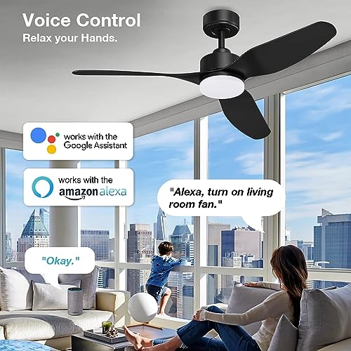 48" Smart Ceiling Fans with Lights Remote,Outdoor Indoor,Black,Easy Install