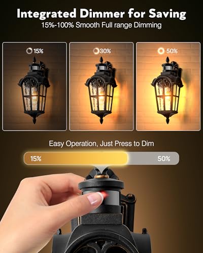 VIANIS Motion Sensor Outdoor Lights, 16.4" H Porch Light Outside Lantern