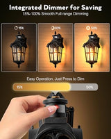 VIANIS Motion Sensor Outdoor Lights, 16.4" H Porch Light Outside Lantern