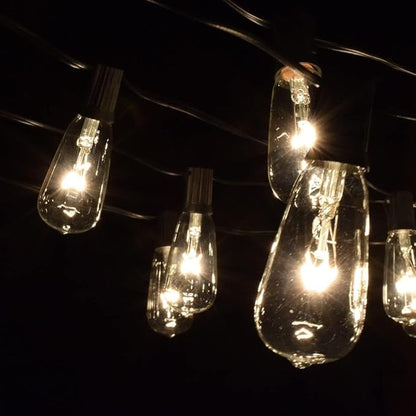 Hometown Evolution, Inc. Vintage Edison Outdoor String Lights (ST40 Clear - Black Wire, 25 ft)