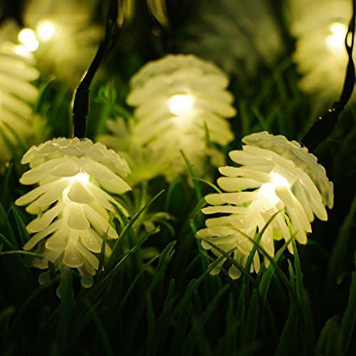Hann® 30 LED Solar String Lights Lovely Echinacea Stylish Lamps Fairy String Lights Battery Operated for Xmas Festival Wedding Birthday Party Home Garden Decoration (30 LED Echinacea Warm White)