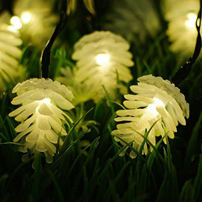 Hann® 30 LED Solar String Lights Lovely Echinacea Stylish Lamps Fairy String Lights Battery Operated for Xmas Festival Wedding Birthday Party Home Garden Decoration (30 LED Echinacea Warm White)