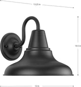 Progress Lighting P5623-31 District Collection 1-Light Farmhouse Outdoor Lantern Light, Textured Black, 12" W x | Lumora