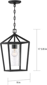 NUVO 60/6594 Hopewell Lighting Fixture, 1Lt Hanging Lantern, Matte Black - Outdoor Wall Light | Lumora