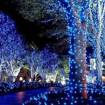 LAMPHOME Christmas String Light,100 Count Incandescent Mini String Light in 21.6ft,Indoor/Outdoor 120V UL Certified Mini Light for Christmas,Wedding,Patio Lawn,Home,Garden,Party,Store (Blue)