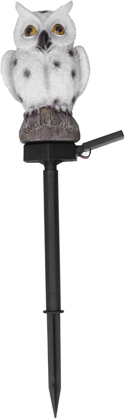 Fydun Solar Pathway Lights - Outdoor Solar Garden Decor, Energy Efficient Landse Lighting for Yard, Driveway & Patio, & Easy Installation