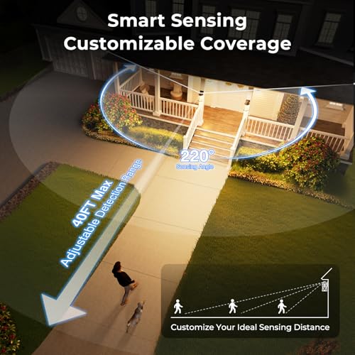 VIANIS Advanced Motion Sensor Light Outdoor, E26 Exterior Lighting Fixtures