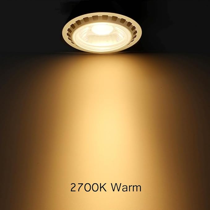Low Voltage 5W MR16 LED Bulb 2700K Low Voltage Landscape Spotlights,Cast Aluminum Indoor Recessed Track Lights,Outdoor Enclosed Metal Fixtures Garden Yard Light Silver Finish 4 Packs