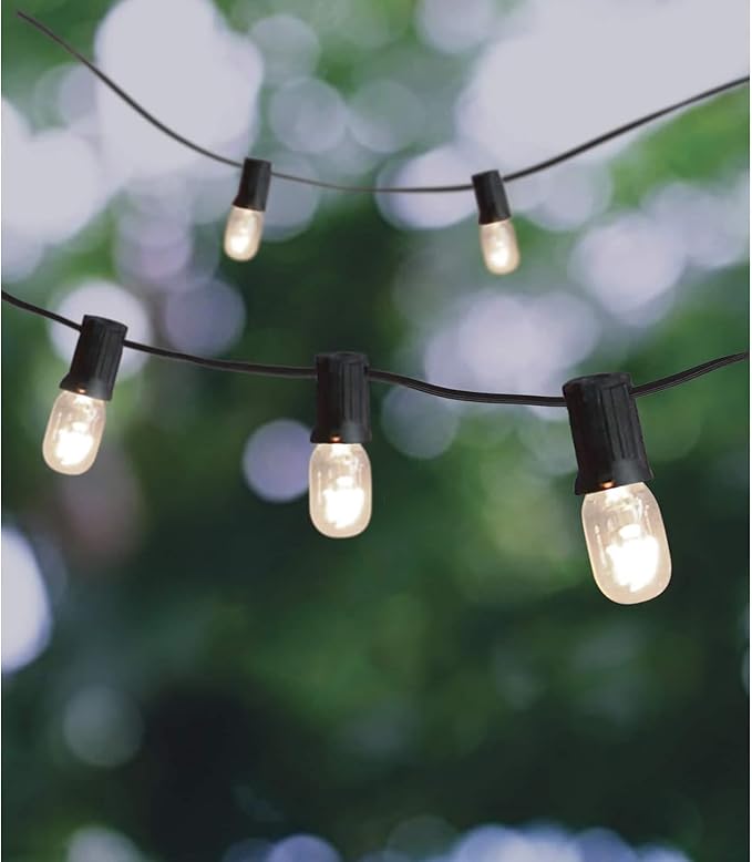 Ashland 20ct. Clear Mini Edison String Lights, 6 Pack | Lumora