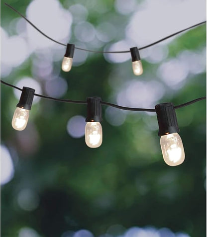 Ashland 20ct. Clear Mini Edison String Lights, 6 Pack