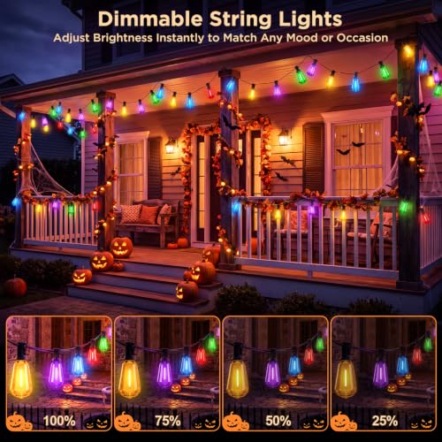 25FT Plug-in String Lights, Fixed 5-Color ST38 Bulbs, Bluetooth & Remote