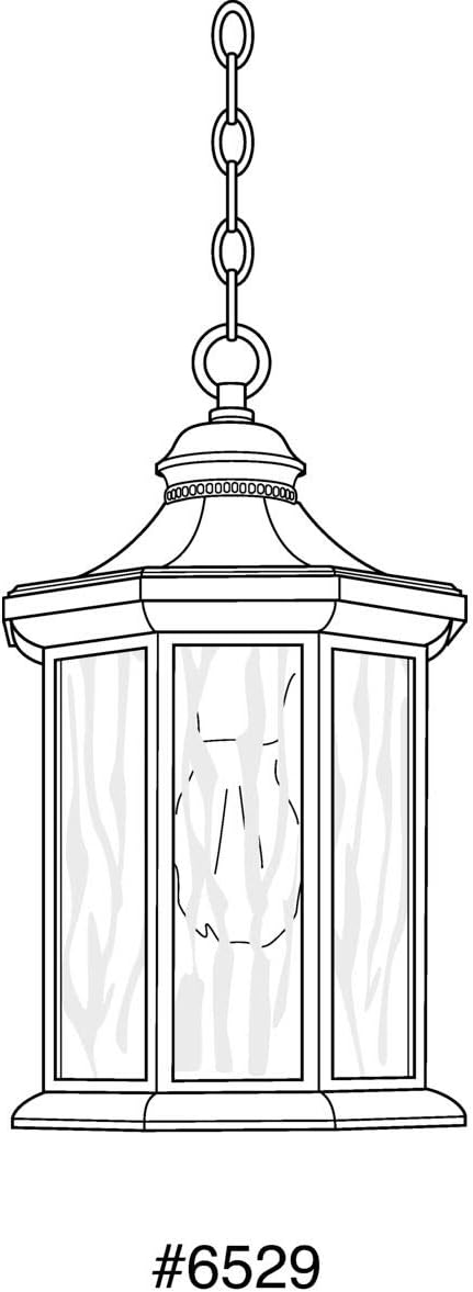 Progress Lighting P6529-20 Traditional/Classic 1-100W Med Hanging Lantern, Antique Bronze, 13.25x7.13x7.13