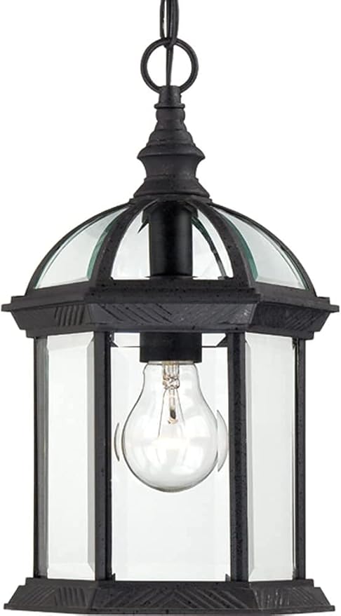Nuvo Lighting 60/4979 Traditional One Light Hanging Lantern from Boxwood collection in Black finish