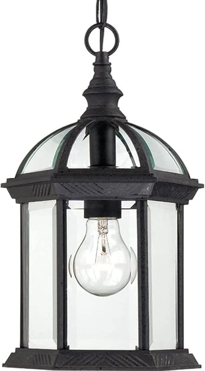 Nuvo Lighting 60/4979 Traditional One Light Hanging Lantern from Boxwood collection in Black finish