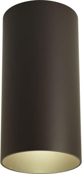 Progress Lighting 6-Inch Cylinder Outdoor Ceiling Light, 1-Light Modern Flush Mount Ceiling Light Fixture, Interior | Lumora