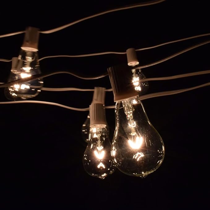 Hometown Evolution, Inc. Vintage Edison Outdoor String Lights (PS50 Clear - White Wire, 100 ft)