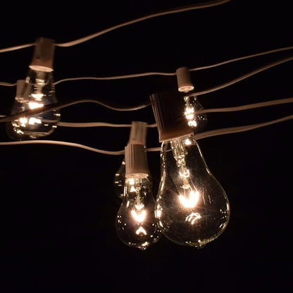 Hometown Evolution, Inc. Vintage Edison Outdoor String Lights (PS50 Clear - White Wire, 100 ft)